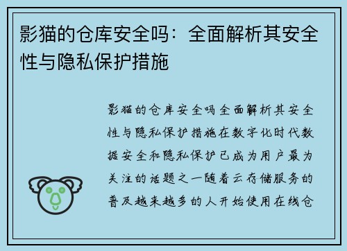 影猫的仓库安全吗：全面解析其安全性与隐私保护措施
